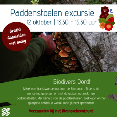 paddenstoelen